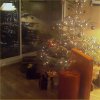 2007-12-25 Noel_l.jpg